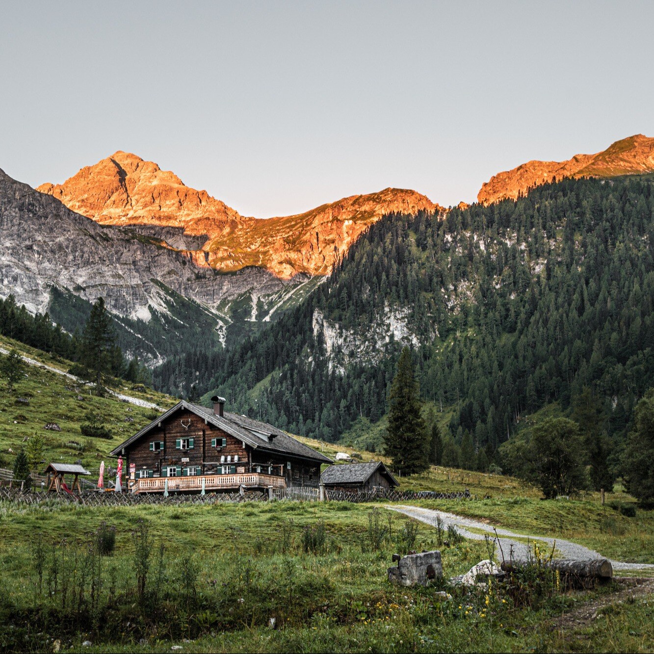 22_flachau_sommer_wandern_alm_marbachalm-1