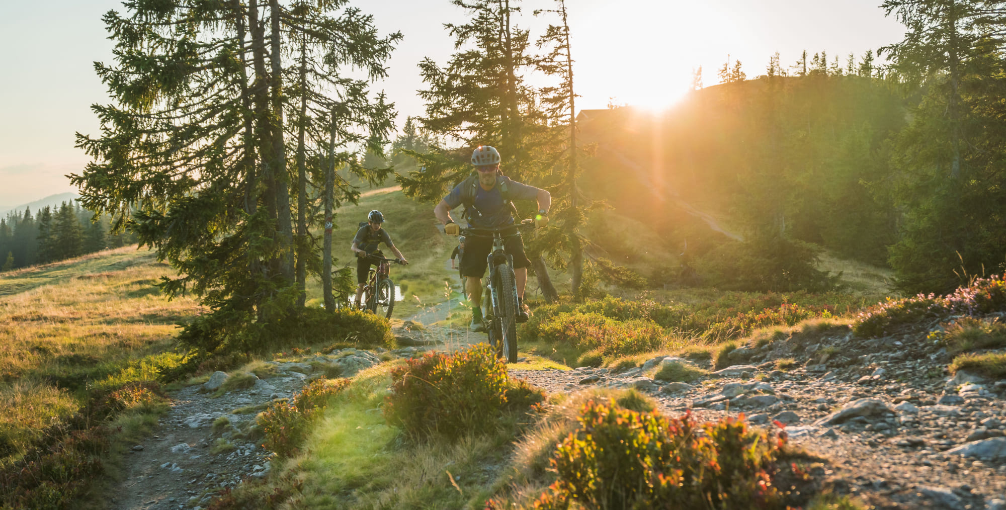 Bikeregion Flachau, Salzburger Land