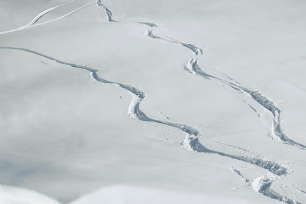 Powder Skifahren in Flachau